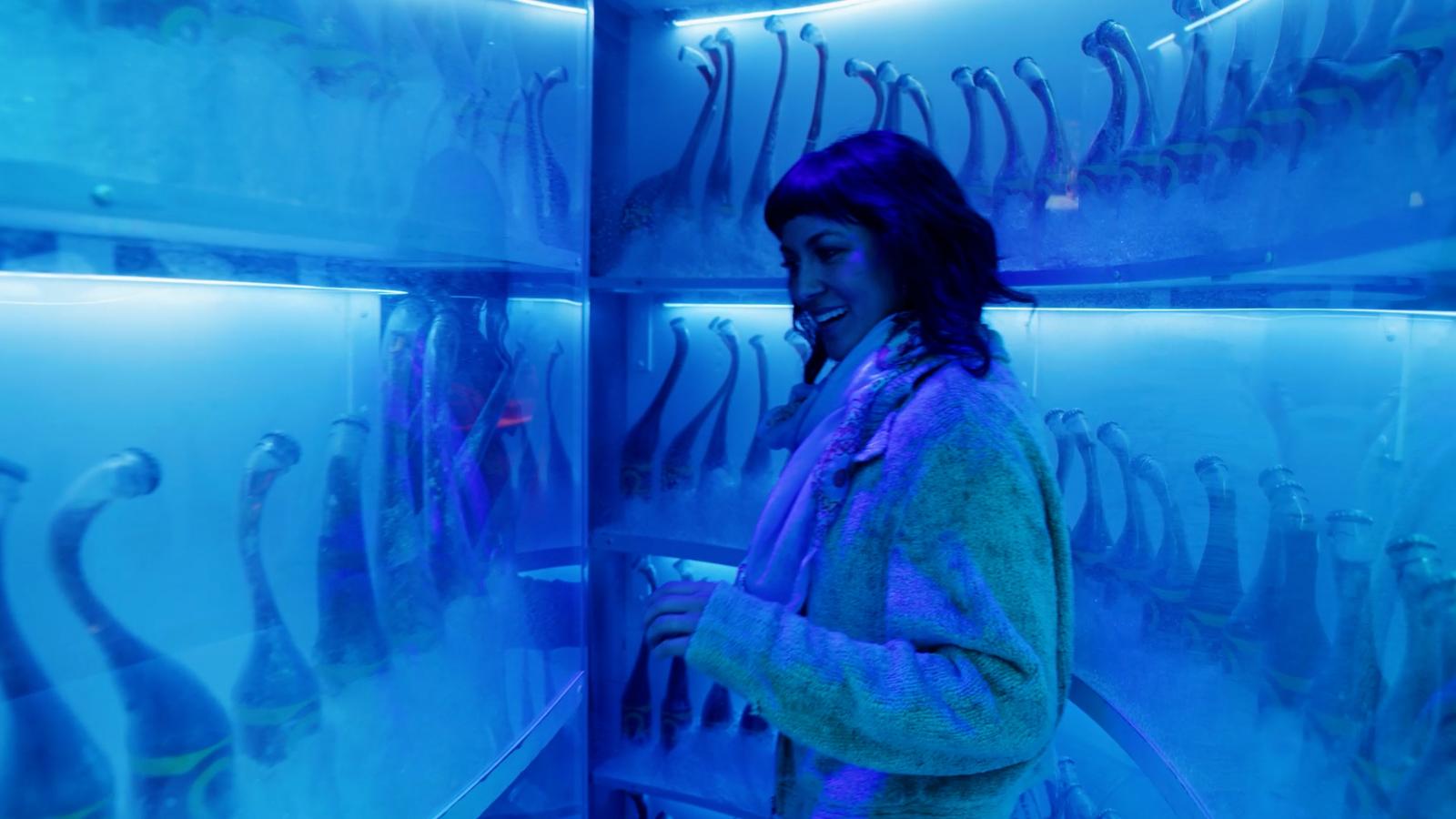 Elige tu propia aventura en Meow Wolf