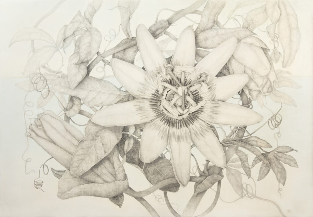 Marta Chirino. Pasiflora