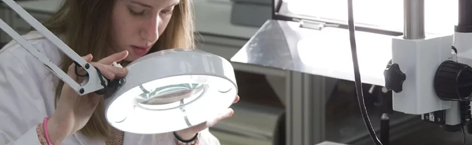 Jefe del Área de Gestión del Museu Nacional d’Art de Catalunya