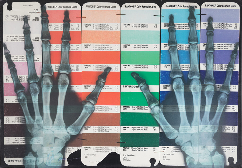 Javier Utray. Clara - mente morir de arte. F2 Galería