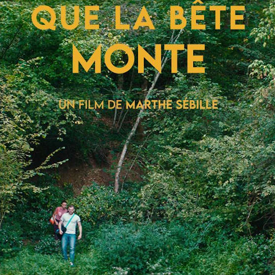 Cinémartium. Un espacio para ver cine francés y para hablar de cine en francés. Artium Museoa