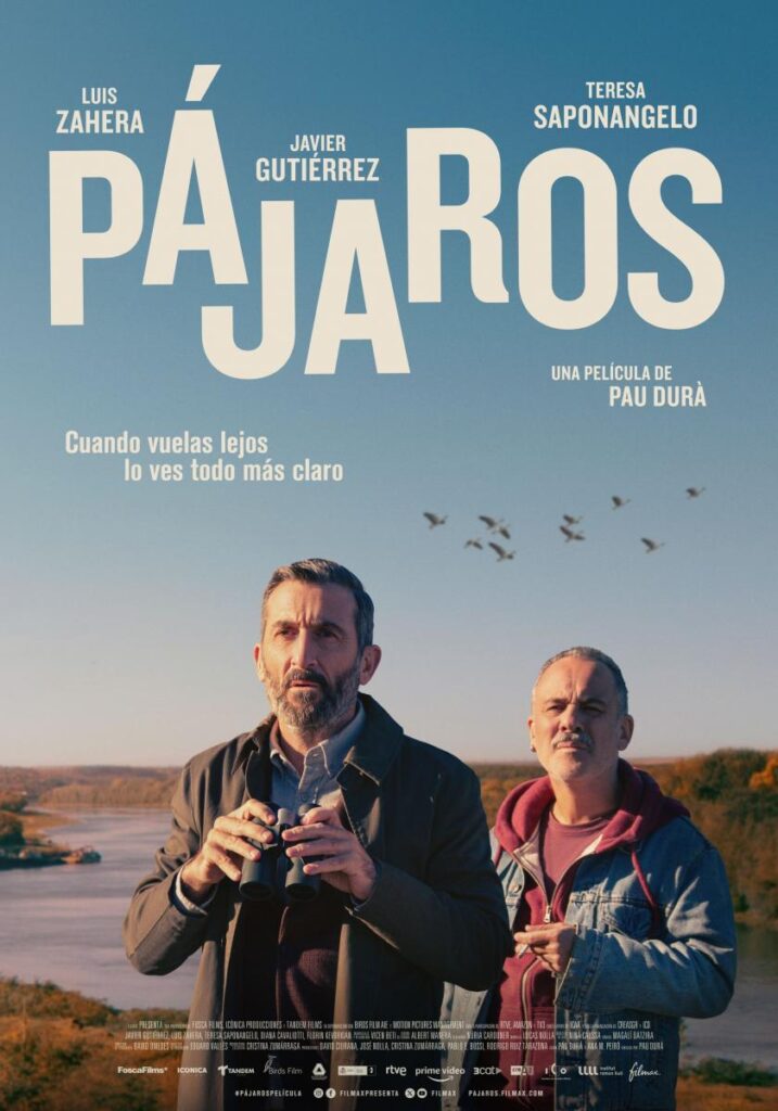 Pájaros. Pau Durà