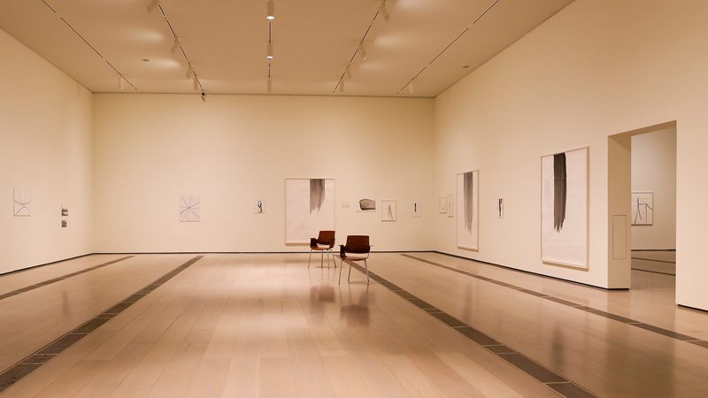 Silvia Bächli. Partitura. Centro Botín, Santander