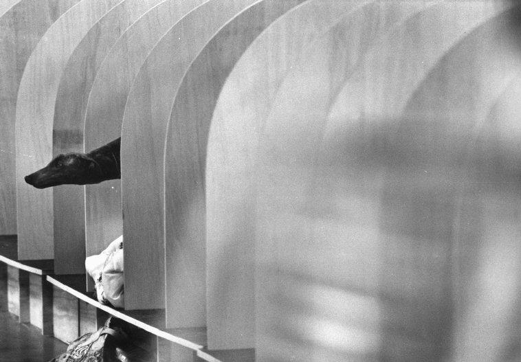 Elliott Erwitt. Nueva York, EE.UU., 1980. © Elliott Erwitt / Magnum Photos