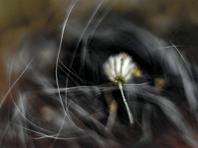 Maya Goded. Serie El rastro de la serpiente. Zapotitlán, Puebla, 2020