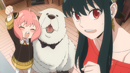 Spy X Family Codigo Blanco