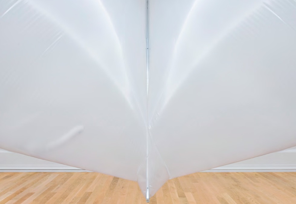 Becas de formación Gondra Barandiarán - Museo de Bellas Artes de Bilbao 2024-2025