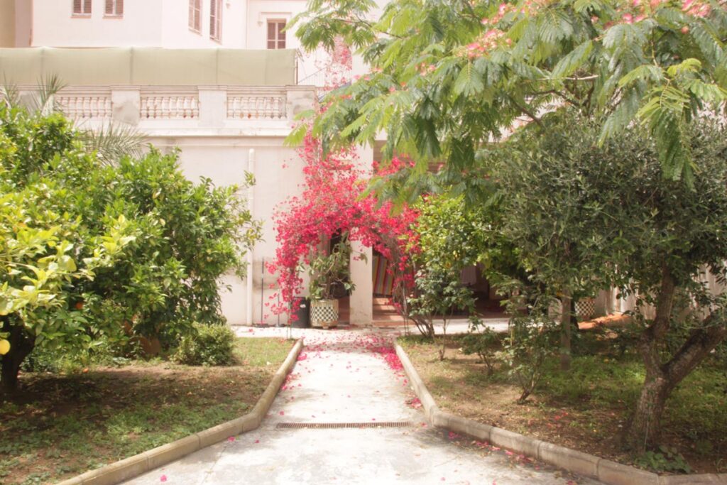 A Cel Obert. Festival de Intervenciones Efímeras 2024