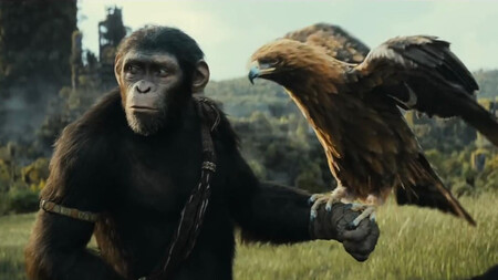 El Reino Del Planeta De Los Simios