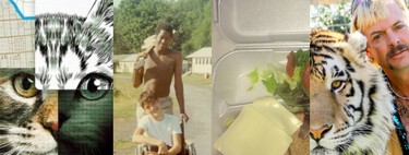 Los 17 mejores documentales en Netflix