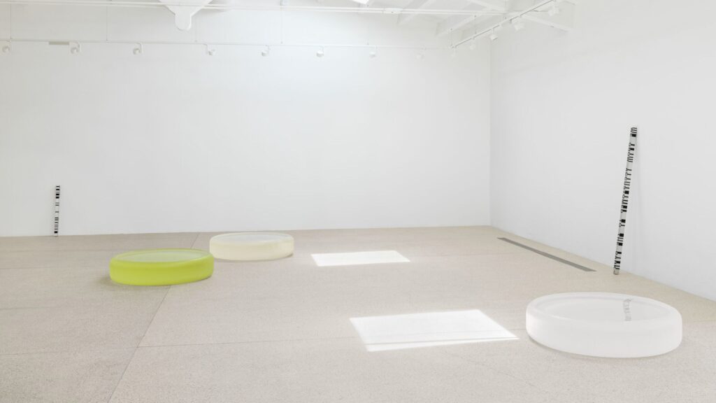 Roni Horn. A witch is more lovely than thought in the mountain rain