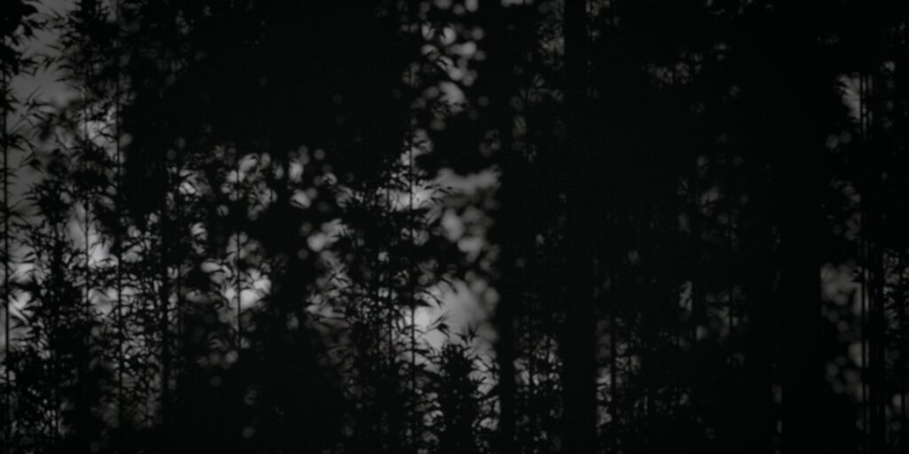 Allora & Calzadilla. Penumbra, 2020