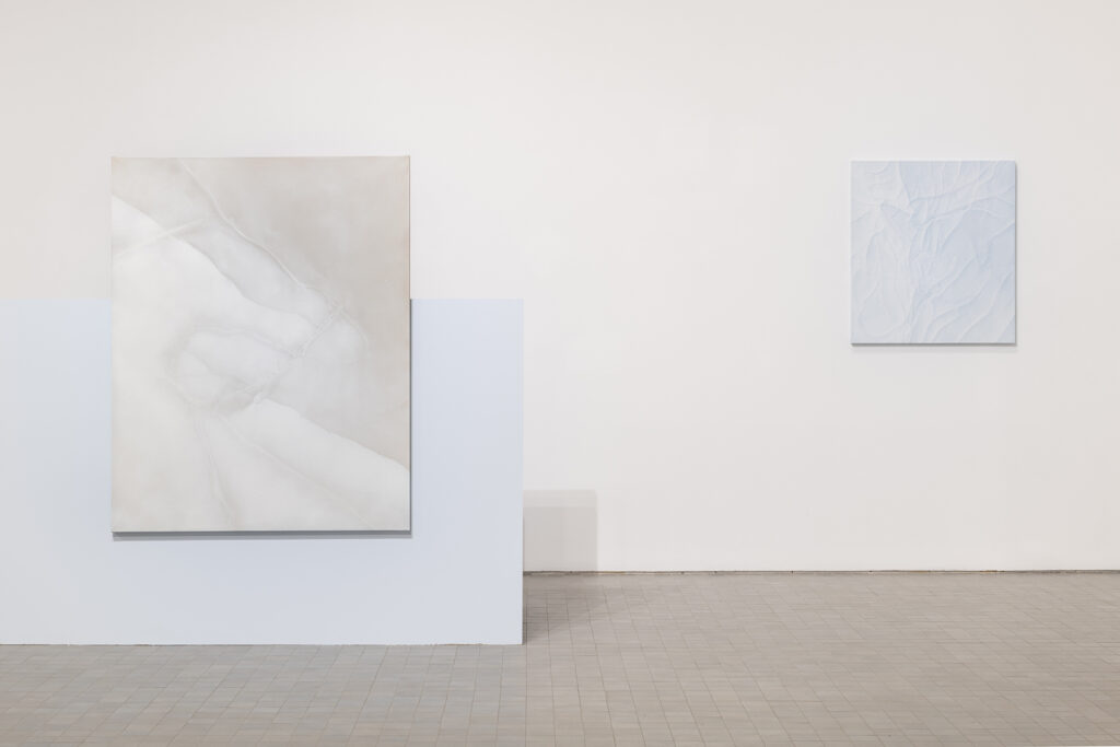 Fernando Romero. En regiones tan claras. IAACC Pablo Serrano, 2024