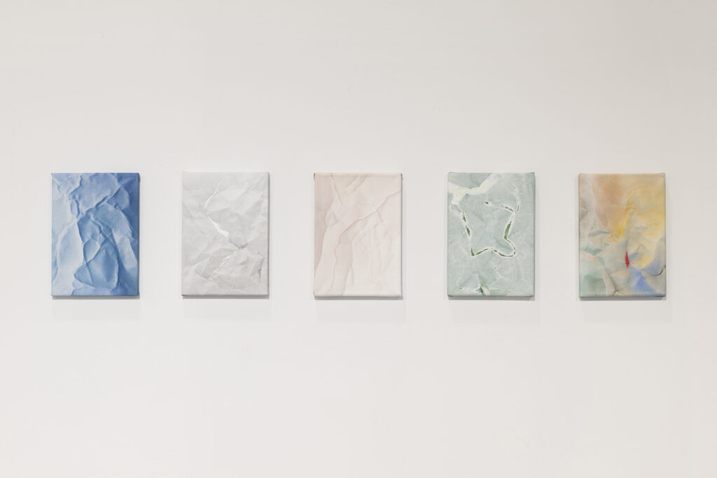 Fernando Romero. En regiones tan claras. IAACC Pablo Serrano, 2024