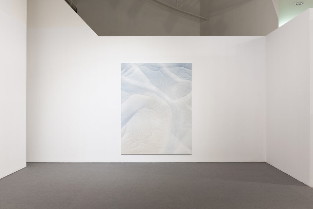 Fernando Romero. En regiones tan claras. IAACC Pablo Serrano, 2024