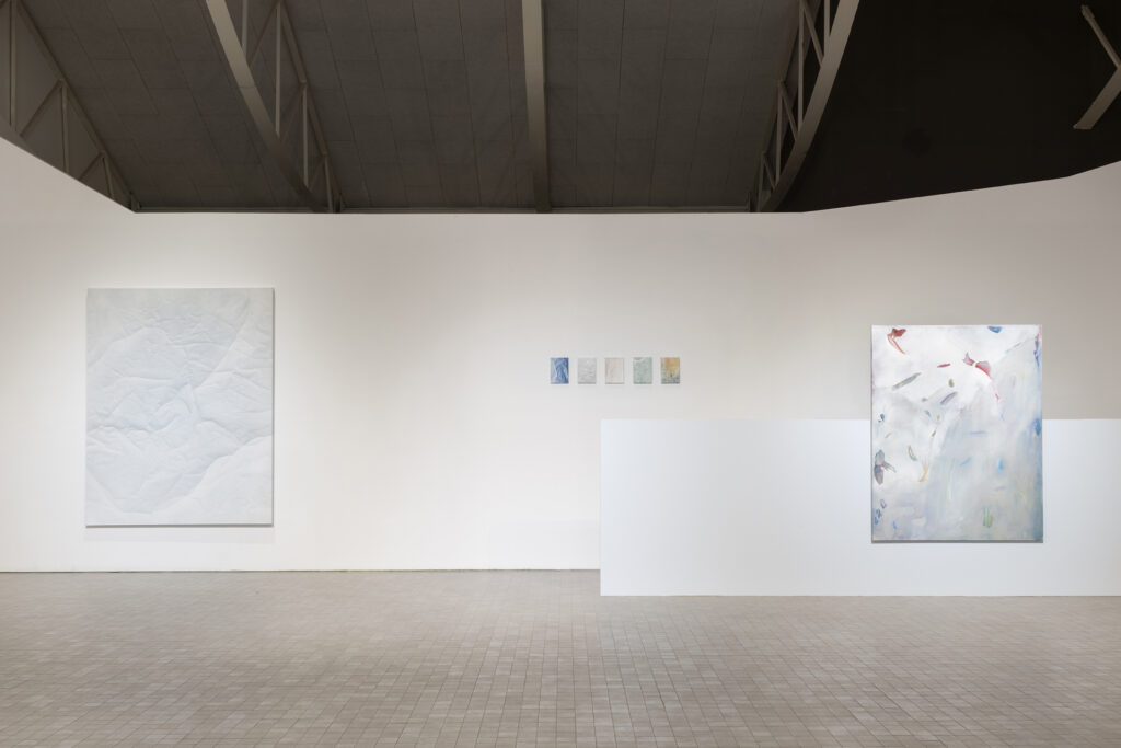 Fernando Romero. En regiones tan claras. IAACC Pablo Serrano, 2024