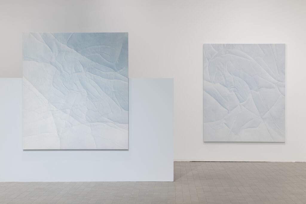 Fernando Romero. En regiones tan claras. IAACC Pablo Serrano, 2024