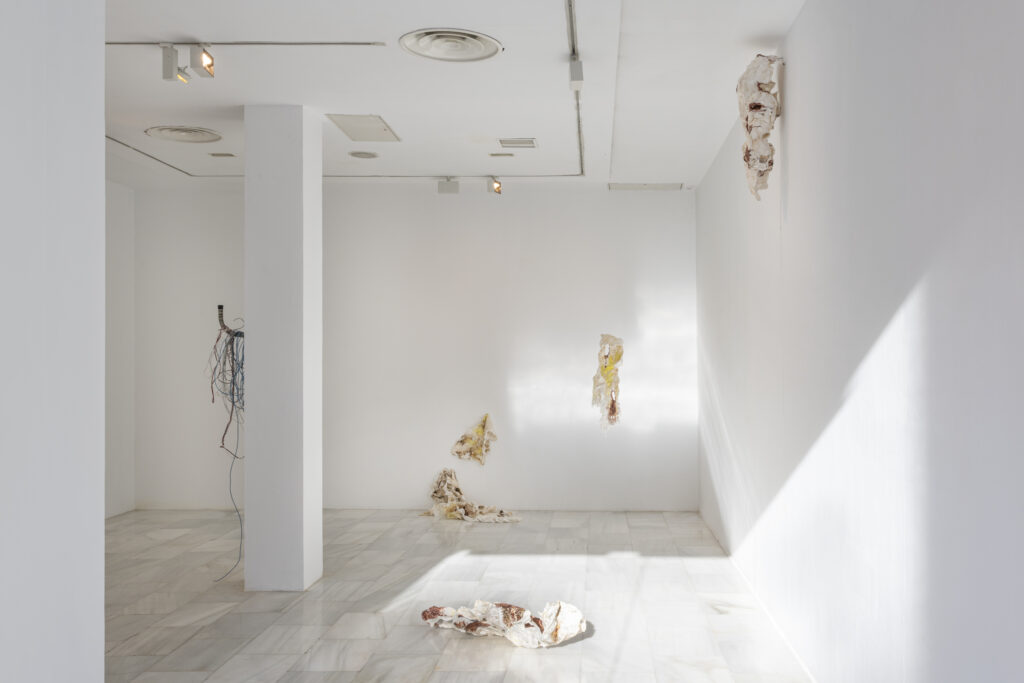 Maya Pita-Romero. Marañas que lamen mi piel. Sala de Arte Joven de la Comunidad de Madrid, 2022. Fotografía: Roberto Ruiz
