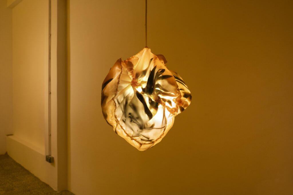 Maya Pita-Romero. Desde dentro, parece que brota algo. Galería El Chico, 2024. Fotografía: Goro Studio