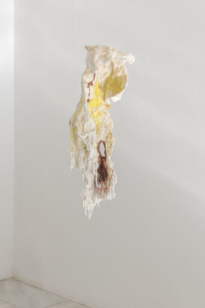 Maya Pita-Romero. Marañas que lamen mi piel. Sala de Arte Joven de la Comunidad de Madrid, 2022. Fotografía: Roberto Ruiz