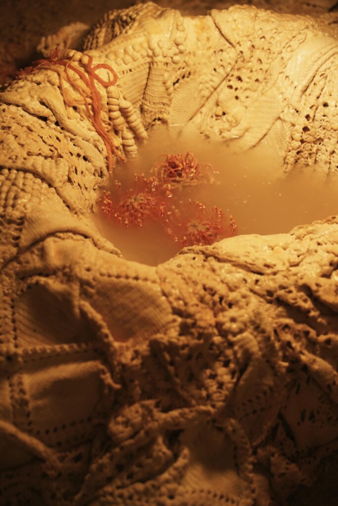 Maya Pita-Romero. Desde dentro, parece que brota algo. Galería El Chico, 2024. Fotografía: Goro Studio