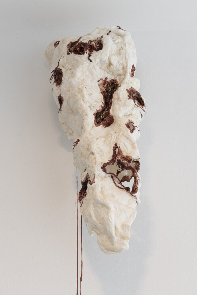 Maya Pita-Romero. Marañas que lamen mi piel. Sala de Arte Joven de la Comunidad de Madrid, 2022. Fotografía: Roberto Ruiz