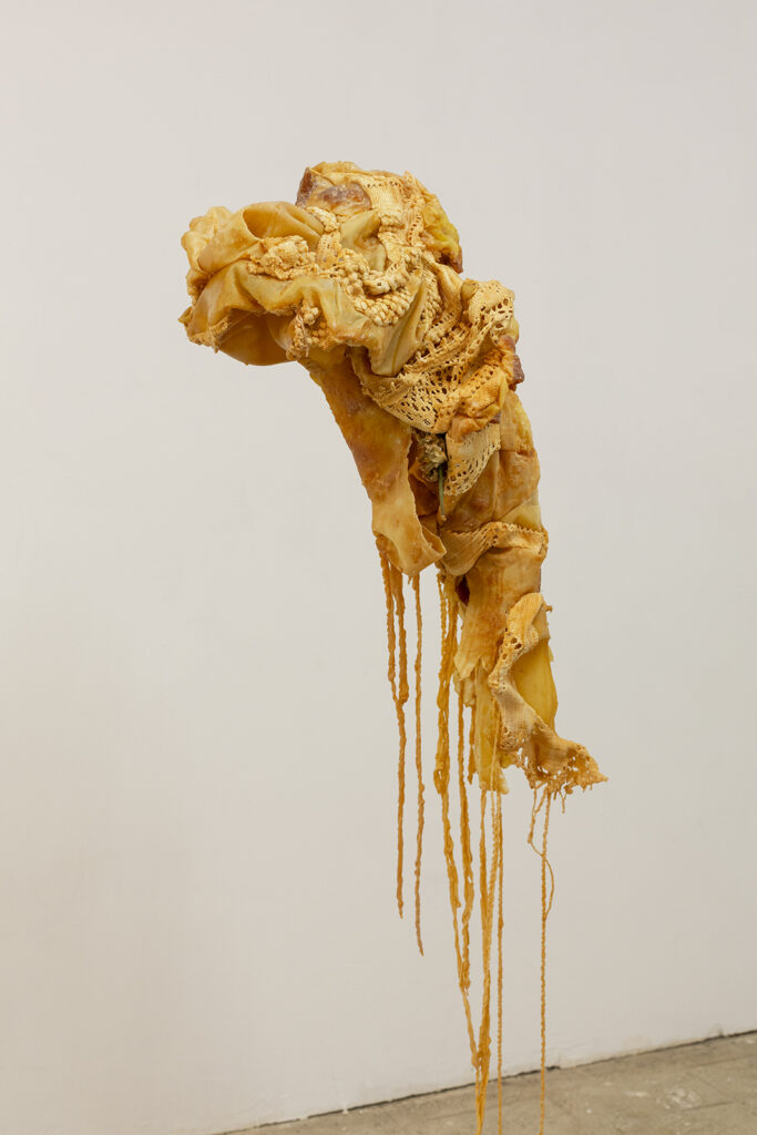 Maya Pita-Romero. Lamer un tallo cortado, Casa Antillón, 2023. Fotografía: Sergio Pradana