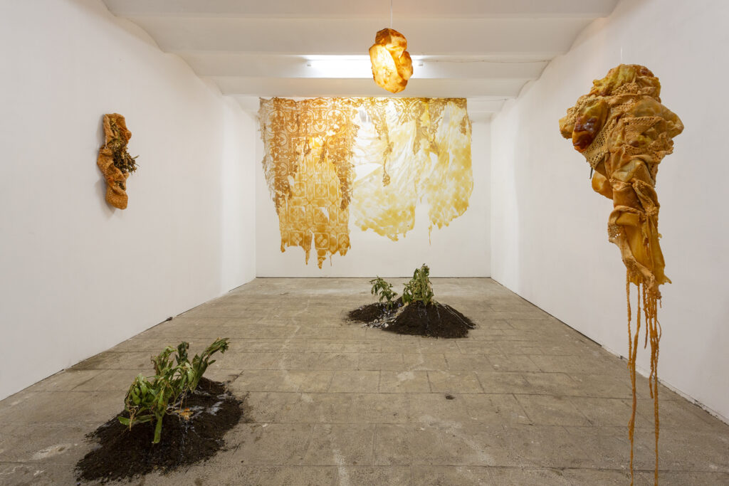 Maya Pita-Romero. Lamer un tallo cortado, Casa Antillón, 2023. Fotografía: Sergio Pradana