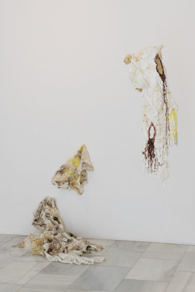 Maya Pita-Romero. Marañas que lamen mi piel. Sala de Arte Joven de la Comunidad de Madrid, 2022. Fotografía: Roberto Ruiz