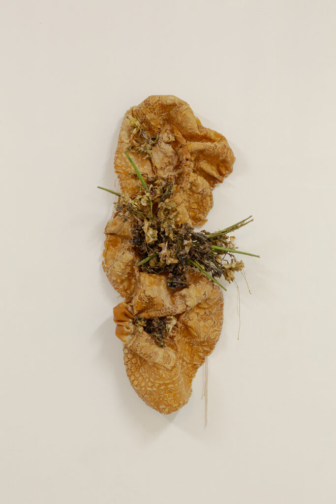 Maya Pita-Romero. Lamer un tallo cortado, Casa Antillón, 2023. Fotografía: Sergio Pradana