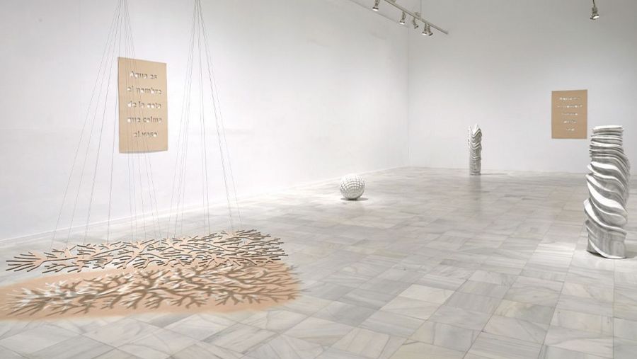 Eva Lootz. Hacer como quien dice: ¿y esto qué es? Museo Reina Sofía