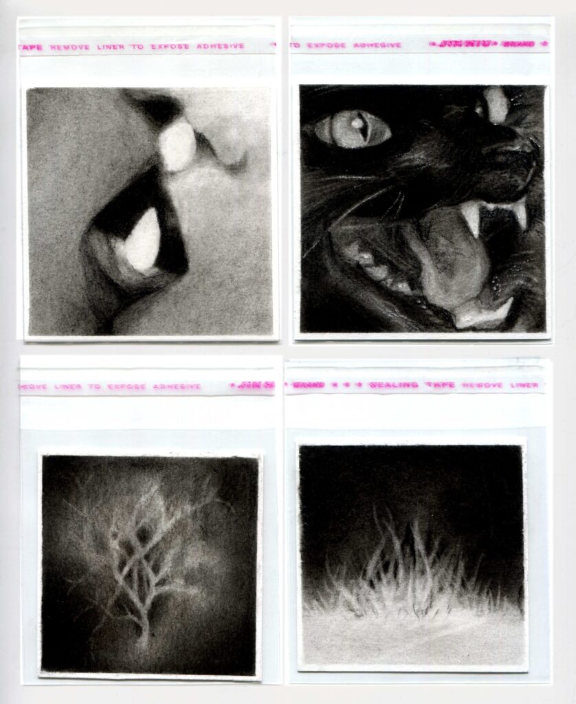 María Chaves. Las últimas flores, 2024