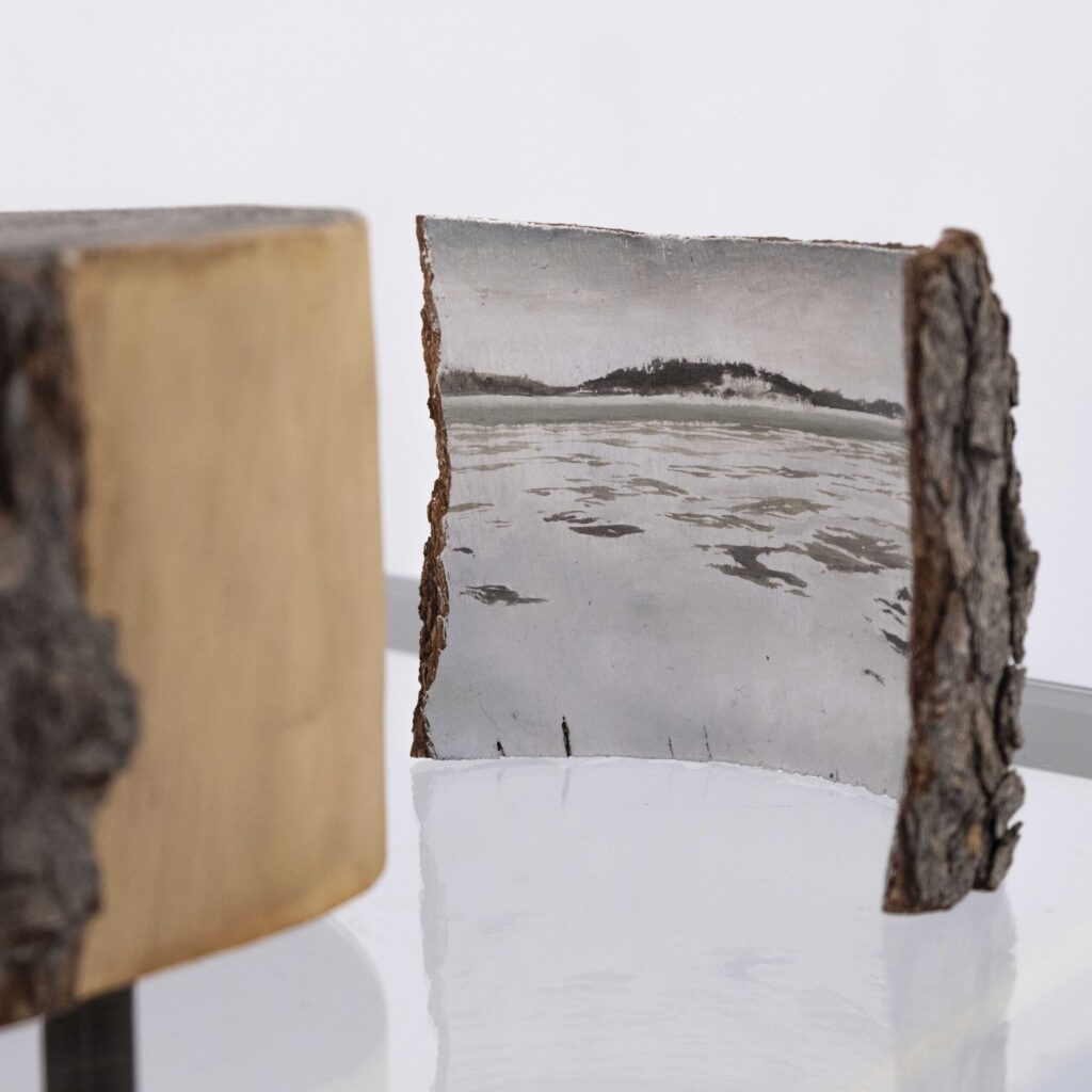 Jan Matthews. Landskap, 2024