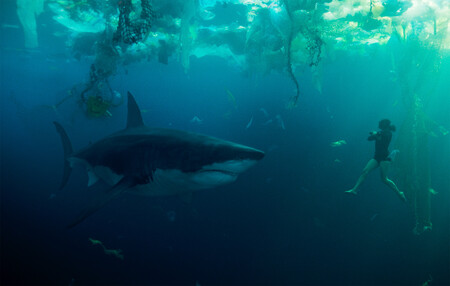 Under Paris Shark Netflix