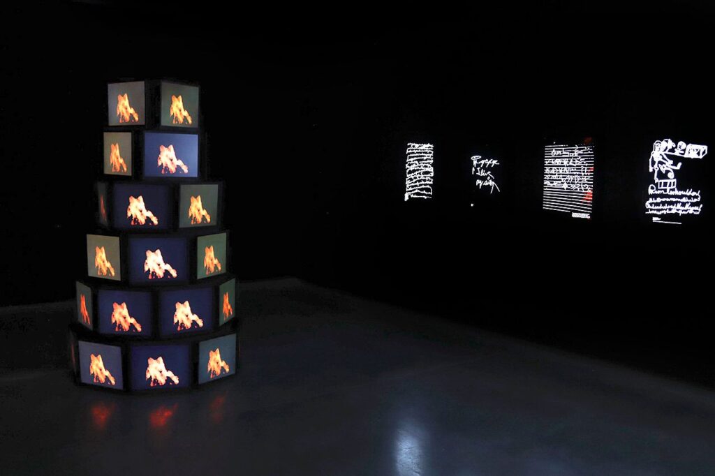 Susan Hiller. Dedicado a lo desconocido. © Fotografía: Museo Helga de Alvear. Tania Castro