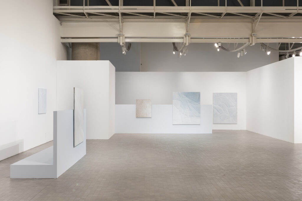 Fernando Romero. En regiones tan claras. IAACC Pablo Serrano, 2024