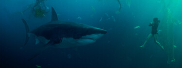 "Es una vergüenza, hasta Megalodón 2 es más coherente". Los científicos franceses están indignados con la película de tiburones de Netflix 'En las profundidades del Sena'