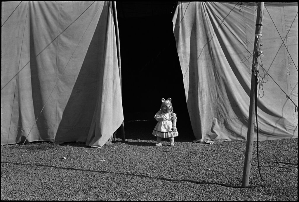 Paz Errázuriz. Miss Piggy I, Santiago. Serie El circo, 1984 . Colecciones Fundación MAPFRE