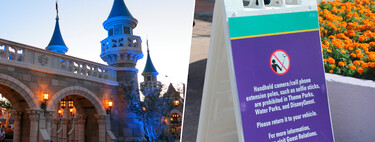 Los parques Disney siguen luchando para que te alejes del móvil, y todo empezó con una extraña prohibición en 2015