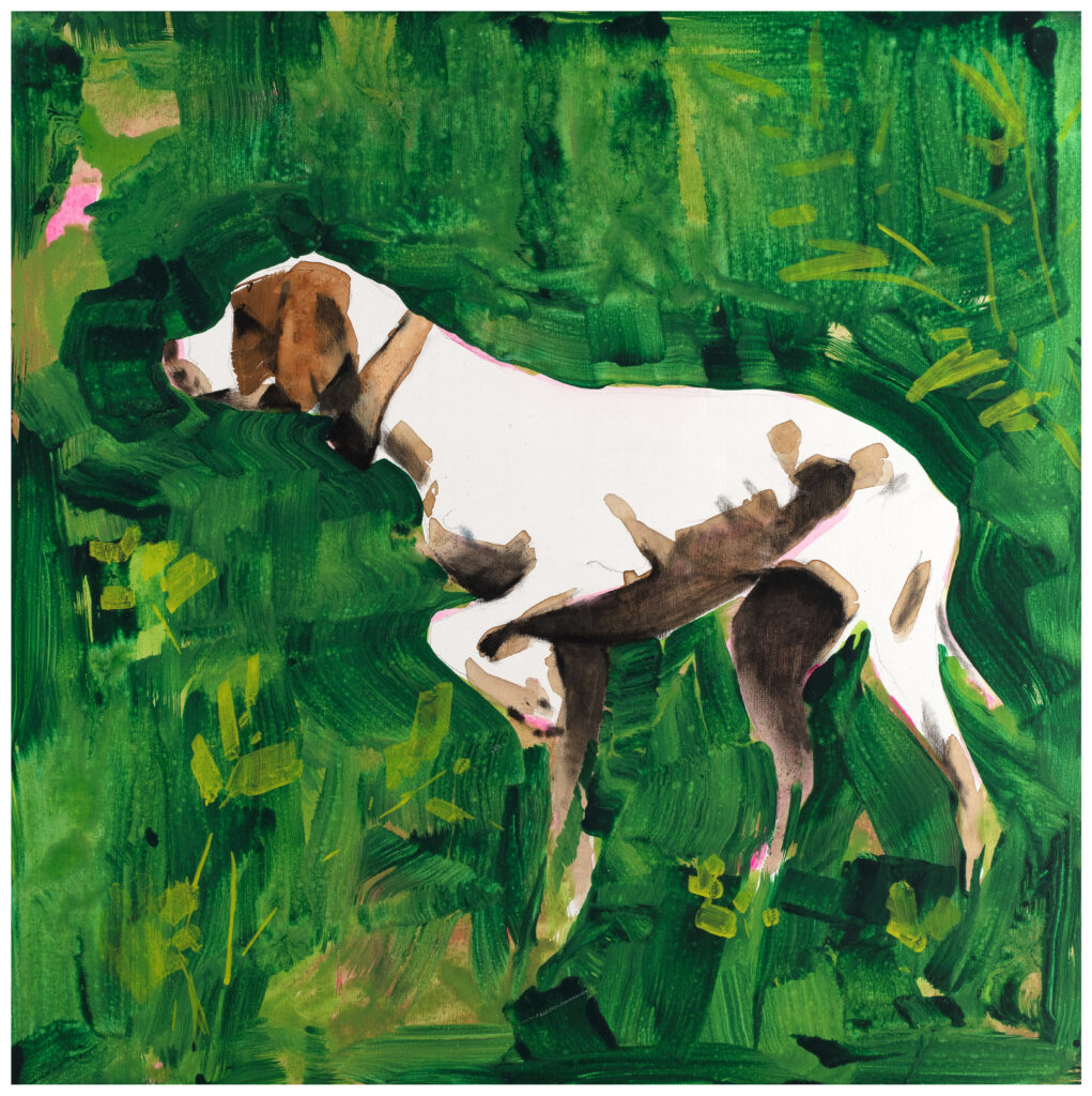 Félix Coll. Green is green