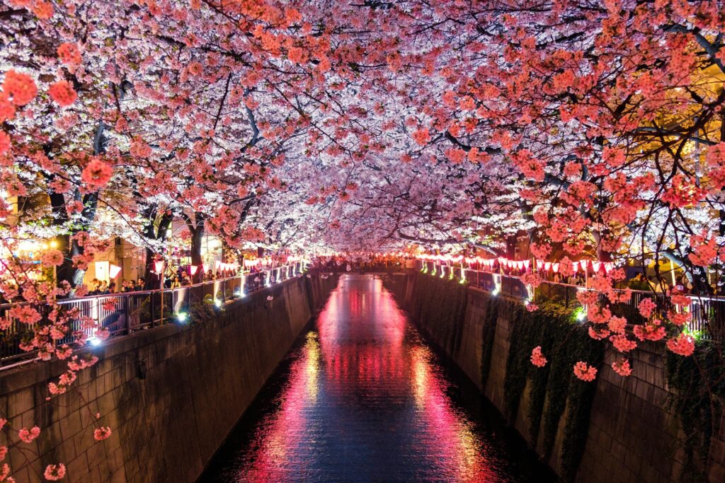 Japon Turismo