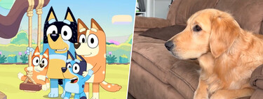 Los perros también pueden disfrutar 'Bluey', y la razón tiene que ver con cómo está coloreada la serie