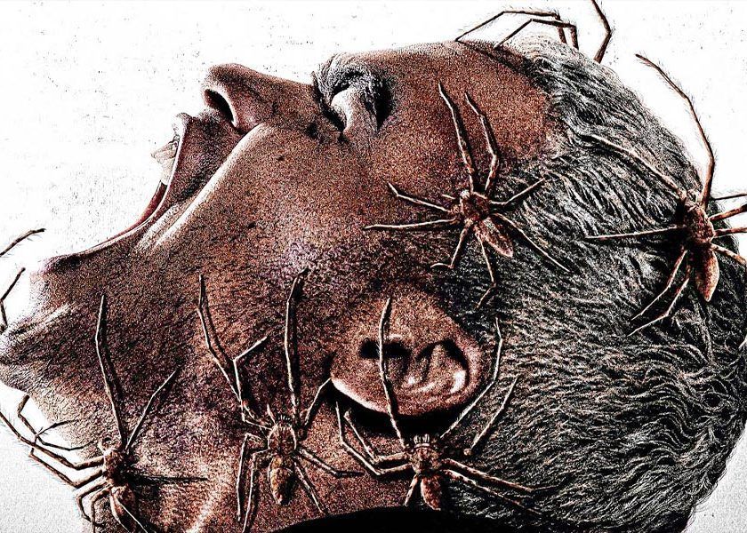 vermin-la-plaga-pelicula-critica-estreno