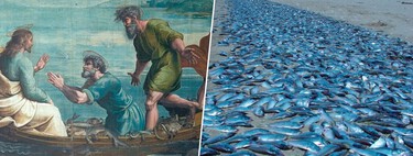 El milagro de los panes y los peces es uno de los grandes trucos de magia de la Biblia. Ahora sabemos "cómo se hizo"