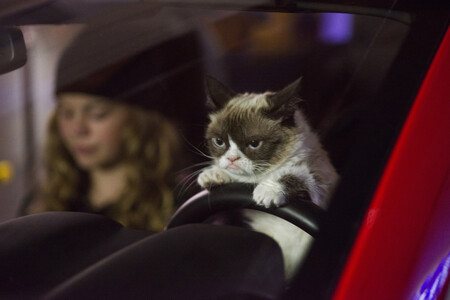 Las Peores Navidades De La Grumpy Cat