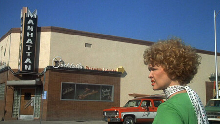 Alicia Ya No Vive Aqui 1974 Ellen Burstyn