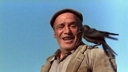 Los Santos Inocentes 1984 Paco Rabal