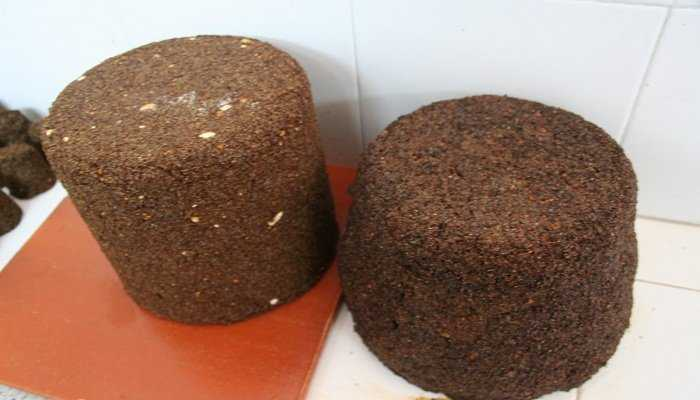 Luis Alejandro Sampayo Cabada: Beneficios del uso de bloques de melaza-urea-minerales en la alimentación animal