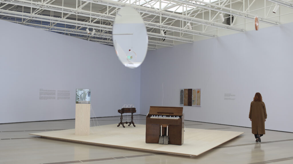 Yuko Mohri. Flutter, 2018 - 2025. Fotografía: Belén de Benito