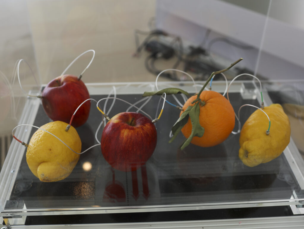 Yuko Mohri Decomposition, 2021-en curso